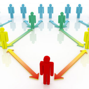 The Power of Networking (Within the Company)